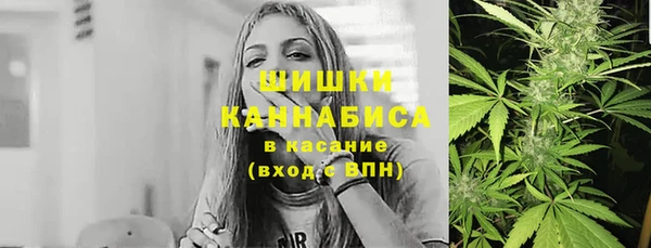 шишки Приозерск
