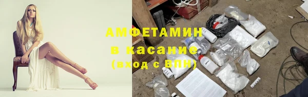 амф Богданович