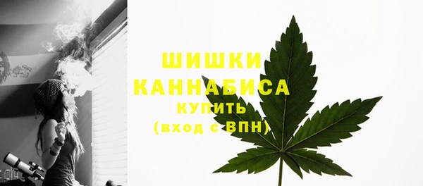 шишки Протвино