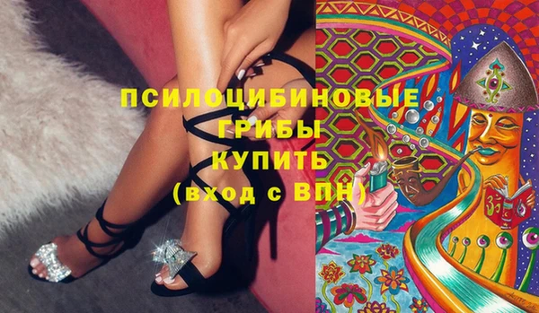 амф Богданович