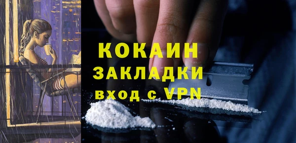 PSILOCYBIN Беломорск